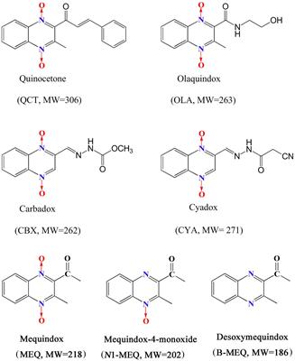 Mequindox Induced Genotoxicity and Carcinogenicity in Mice